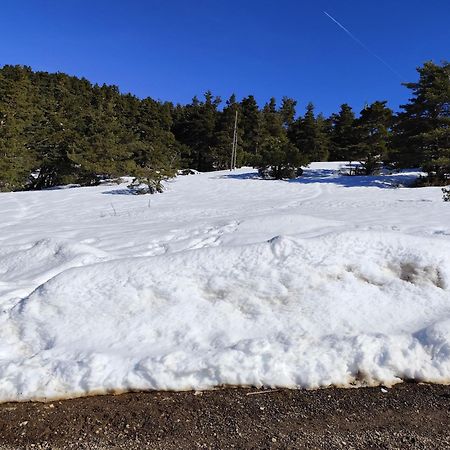 Appartement Greoliere Les Neiges Avec Exterieur Greolieres Dış mekan fotoğraf